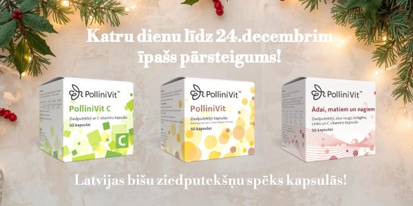 Ziemassvētki baneris